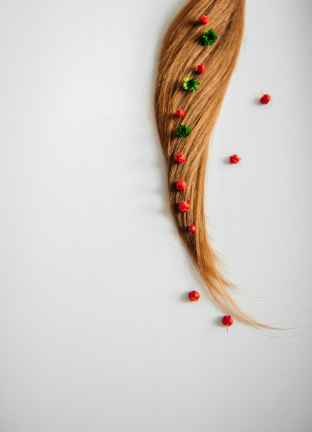 花在白色的背景上图片下载