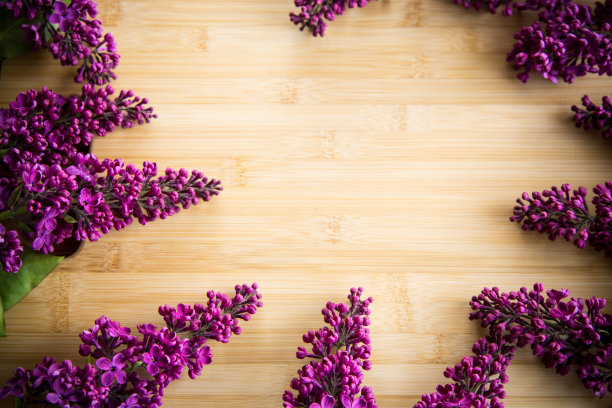 木制背景上美丽的丁香图片下载