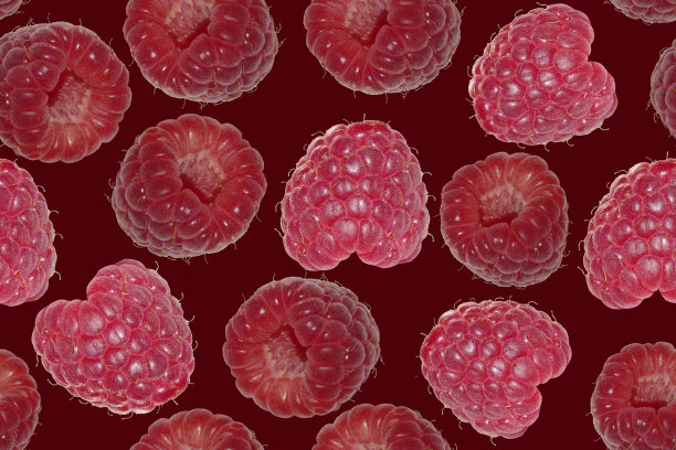 无缝深色背景与红色成熟的覆盆子。图片下载