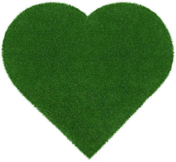 心形草甸绿草面空白顶视图孤立在白色背景。园艺广告模板，生物环保理念图片下载