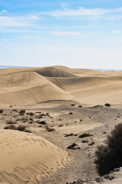 沙漠中的沙丘，照片图片数码图像，在大卡纳尼亚的马斯帕洛马斯图片下载