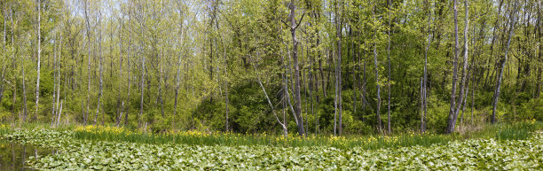 美国俄亥俄州半岛凯霍加谷国家公园图片下载