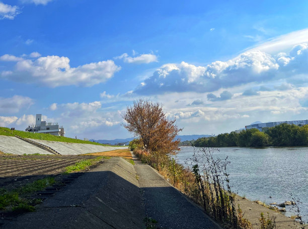河畔图片下载