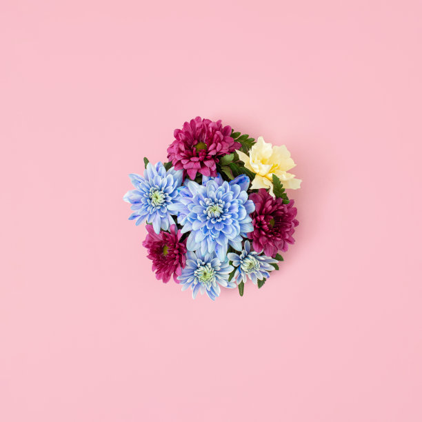 美丽的春天花圆花环充满了新鲜的五颜六色的花和叶子。创意平面的概念上粉彩粉红色的背景。“n图片下载