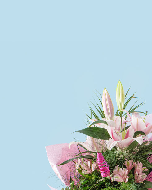 一束粉红色和白色的百合。创意粉彩概念的花朵在柔和的蓝色背景。图片下载