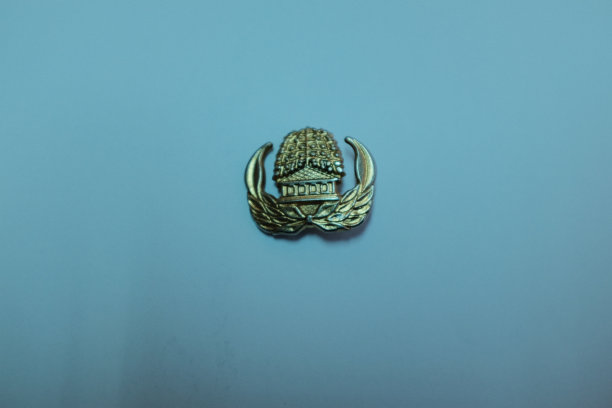 白色背景上的金色标志按钮图片下载