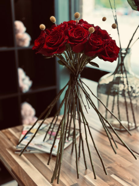 红玫瑰图片下载