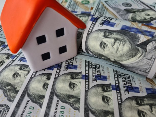 购买的房子的百元大钞图片下载