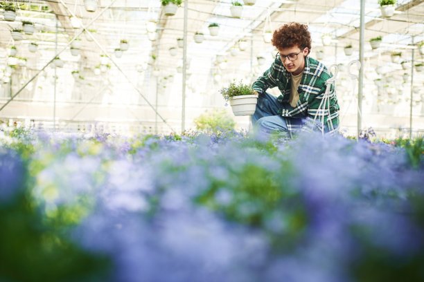 紫色的花。一个戴眼镜的卷发年轻人在温室里图片下载