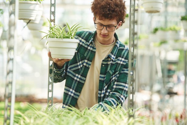 穿着格子衬衫。一个戴眼镜的卷发年轻人在温室里图片下载
