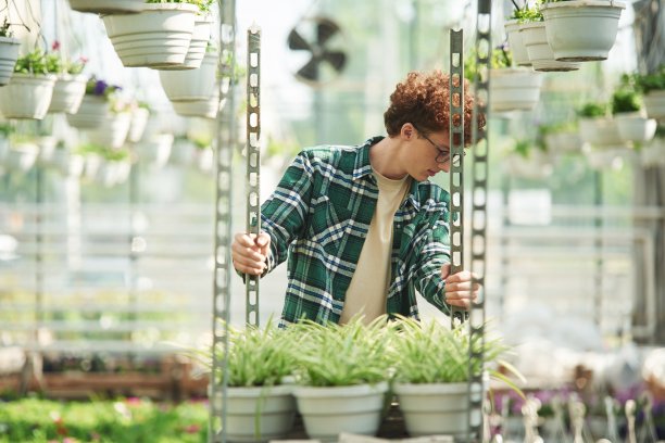 花盆里的植物。一个戴眼镜的卷发年轻人在温室里图片下载