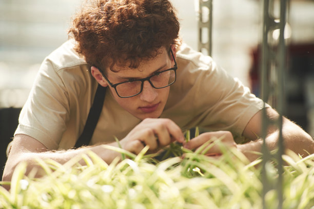 减少植物。一个戴眼镜的卷发年轻人在温室里图片下载
