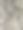 老橡树的树皮。图片下载