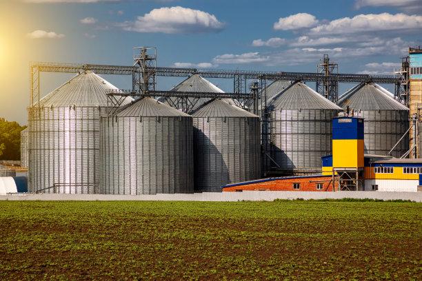 农业筒仓。储存和干燥的谷物，小麦，玉米，大豆，向日葵对着蓝天白云。农作物的储存。图片下载