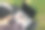 一名男子坐在绿草地上使用黑屏笔记本电脑(俯视图)。图片下载