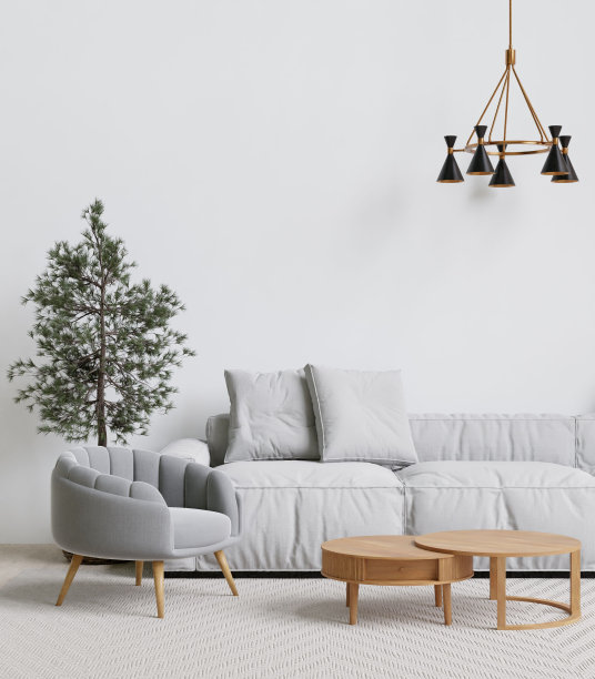现代客厅有灰色的沙发、扶手椅和茶几。3 d渲染。图片下载