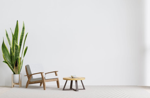 有扶手椅、咖啡桌和装饰植物的现代客厅。3 d渲染。图片下载