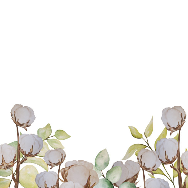 白色背景上的棉花和绿叶的水彩画。可用于明信片、广告、插花、马克杯和t恤上。图片下载