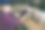 农妇在羊圈里拿着石碑。图片下载
