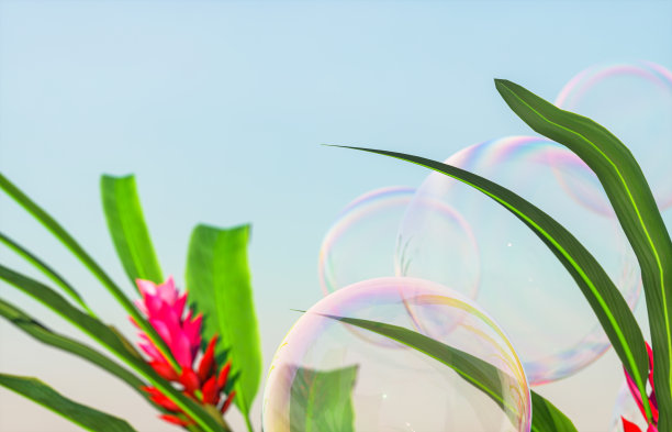 泡泡和热带植物在蓝天的背景。三维渲染图片下载