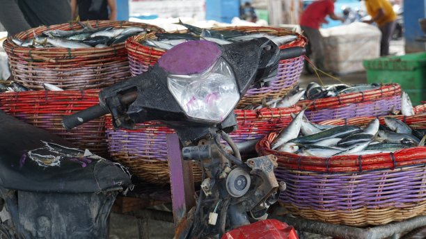 用竹竿背几个鱼篓图片下载