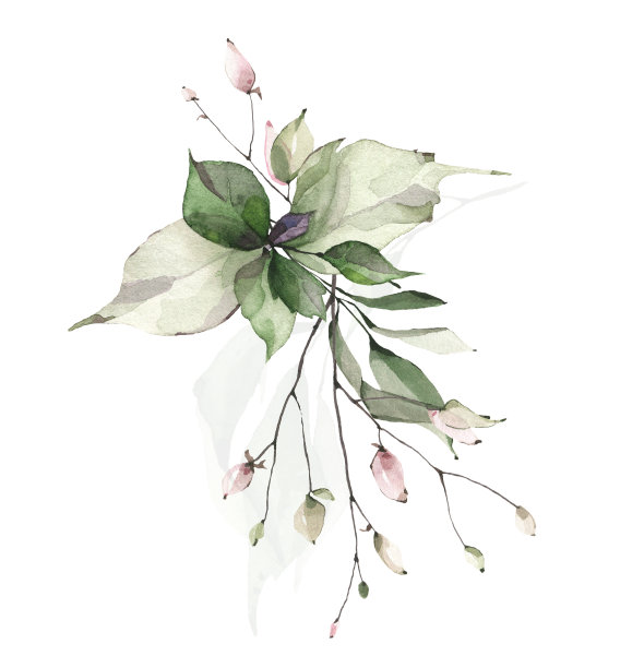 绿色植物安排水彩画。花束以鼠尾草绿色、粉红色的草甸枝、叶、细枝为主。图片下载