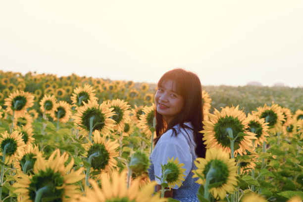 可爱的小女孩站在向日葵地里，清晨蓝天。图片下载