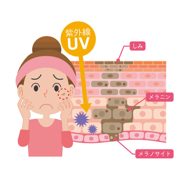 染色产生机理图片下载