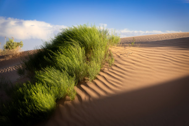 沙漠刷图片下载