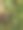 散焦抽象背景的树干与苔藓生长在表面。图片下载