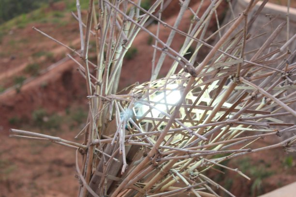 装饰竹灯图片下载