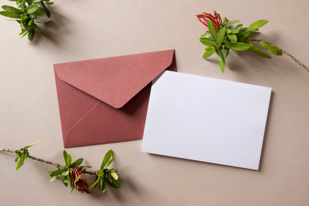 白色空白问候或邀请卡和信封与Ixora植物装饰。图片下载