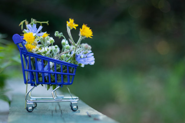 蓝色的篮子里装满了超市里春天的鲜花，街道上的马路上的特写图片下载