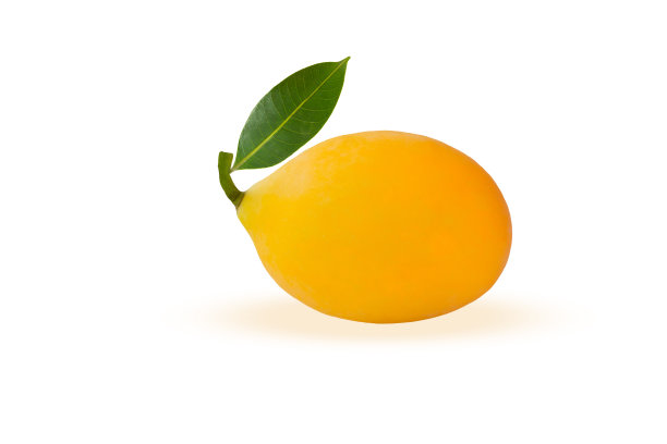 Ma prang thai果marian plum或plango果孤立在白色背景与剪枝路径图片下载