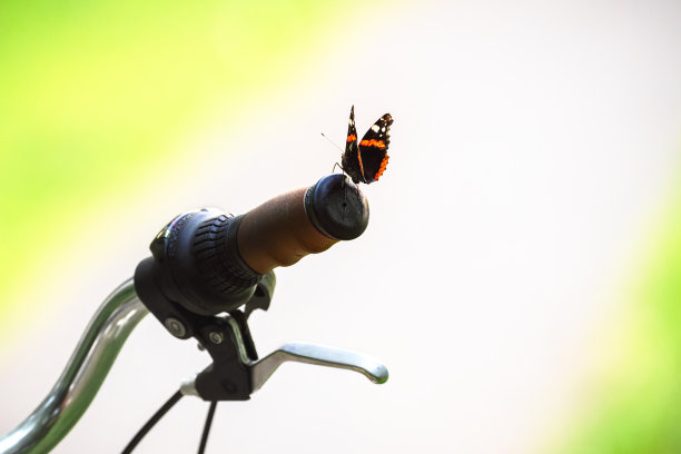 自行车车把上的蝴蝶图片下载