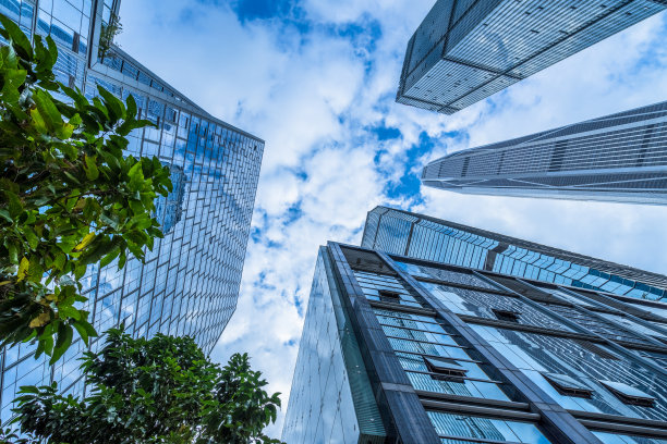 商业大厦和绿叶图片下载