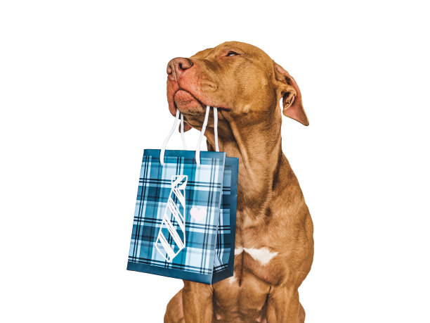可爱的小狗和购物袋。销售准备图片下载