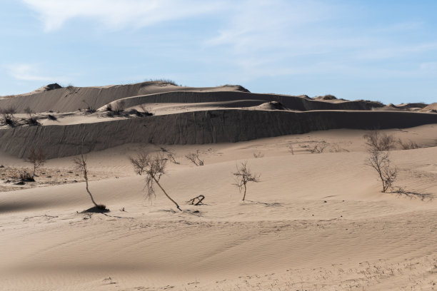 Elsen Tasarkhai或迷你戈壁，蒙古中部图片下载