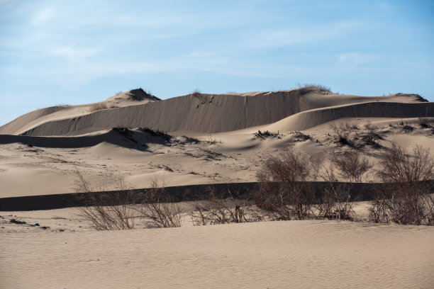 Elsen Tasarkhai或迷你戈壁，蒙古中部图片下载