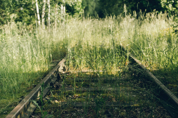 夏季杂草丛生的铁轨图片下载