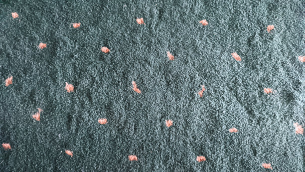 绿色地毯上的白色圆点图案图片下载