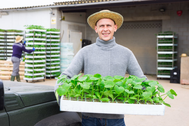 农民拿着装有秧苗的盒式托盘图片下载