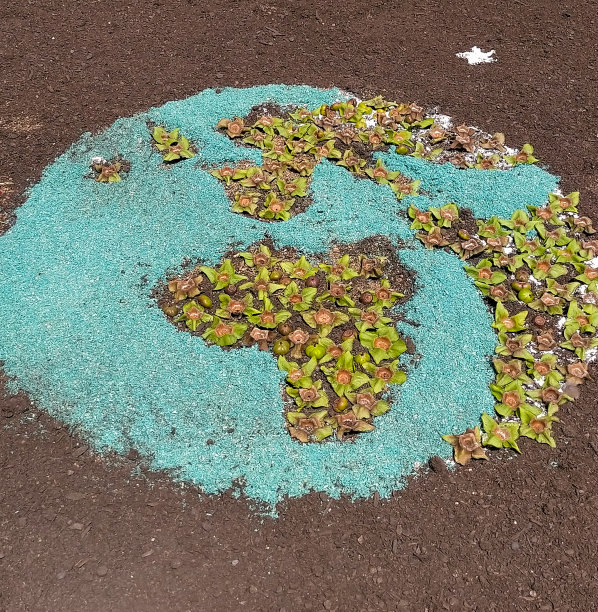 用蓝石和树叶制作的地球剪影(环保概念)图片下载