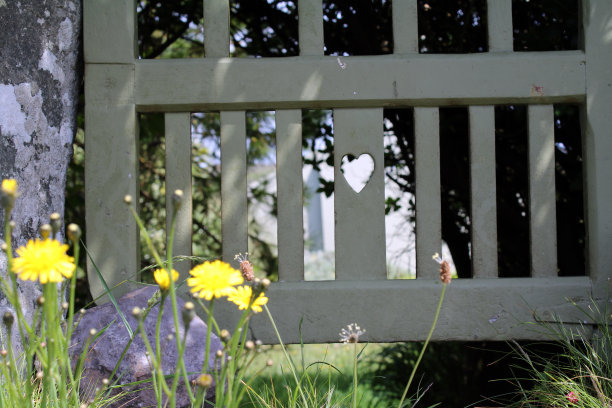 野花和大门带着心和爱图片下载