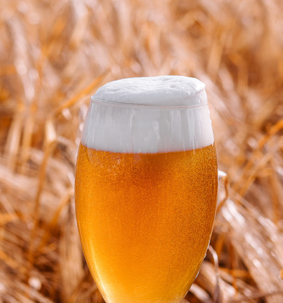 木桌上一杯金色的啤酒，阳光明媚的麦田图片下载