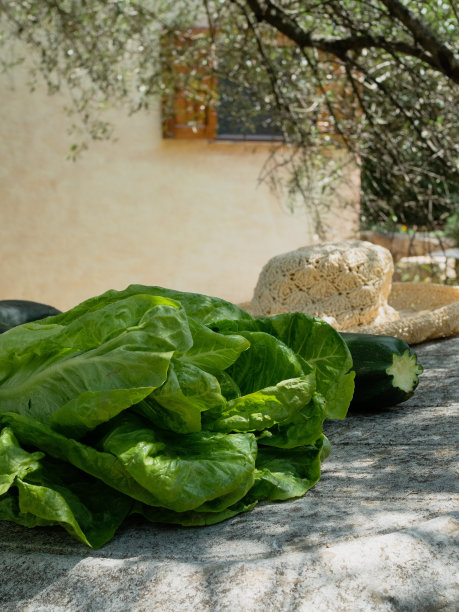 垂直桌面照片，一个大的沙拉头，西葫芦和草帽在橄榄树花园的桌子上，背景是意大利乡村的房子。地中海菜园六月初收获。图片下载