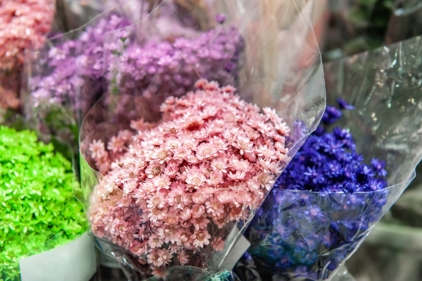 五颜六色的干花，干花在花店的工作空间。为将来的作品闻花。五颜六色的干植物图片下载