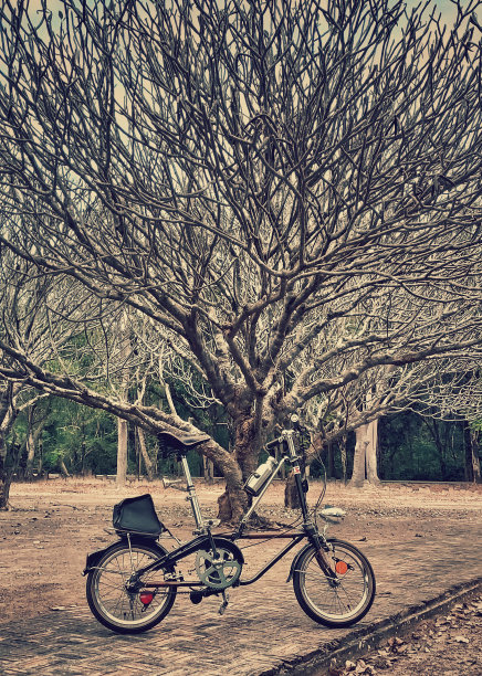 折叠自行车图片下载