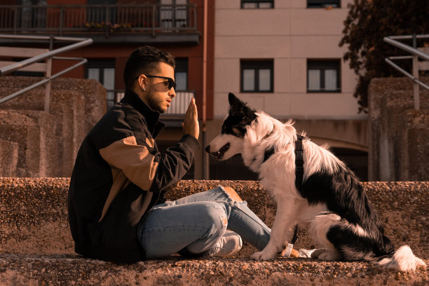 边境牧羊犬和他的小主人坐在街上。边境牧羊犬宠物狗和主人的照片。图片下载