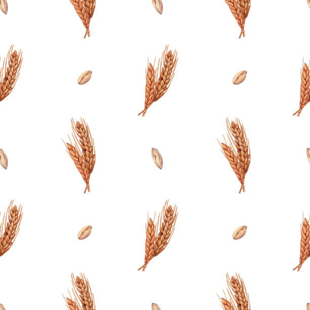 水彩无缝小麦小穗图案背景与小麦穗，燕麦小穗。手绘插图孤立在白色背景。完美的概念插图菜单，面包店图片下载